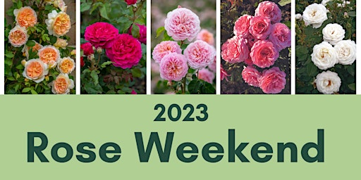 Rose Weekend 2023