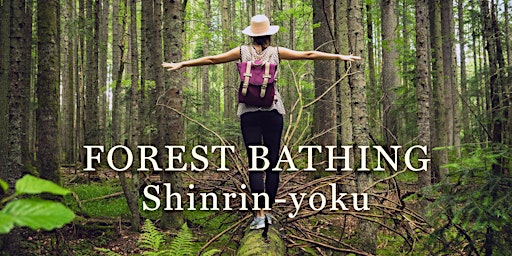 Summer Forest Bathing Experience