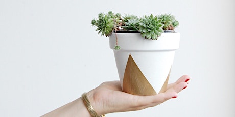 Atelier DIY : personnaliser votre propre pot à fleurs primary image