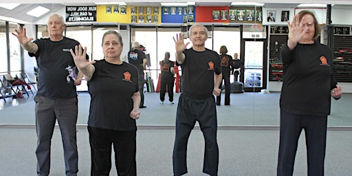 SILVER DRAGONS MARTIAL ARTS MOVEMENT CLASS FOR SENIORS OVER 55+