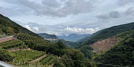 Travelogue - Wines from Northern Italy