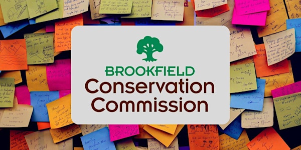Brookfield Sustainability Planning: Community Workshop