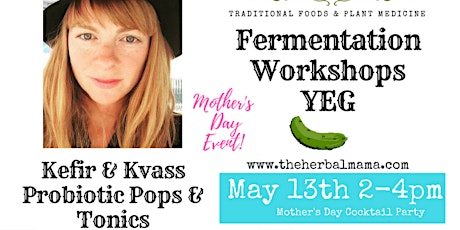 Fermentation Workshops YEG - Kefir & Kvass - Healthy Cocktail Party primary image