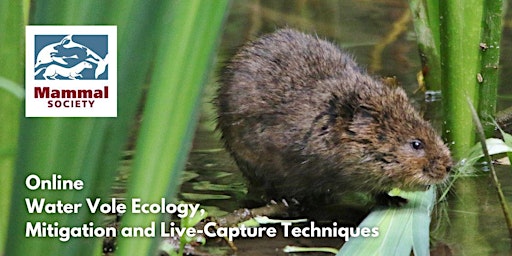 Water Vole Ecology, Mitigation and Live-Capture Techniques - Online