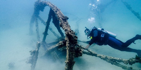 Shipwrecks: Stories of Hawaii’s Maritime Past primary image
