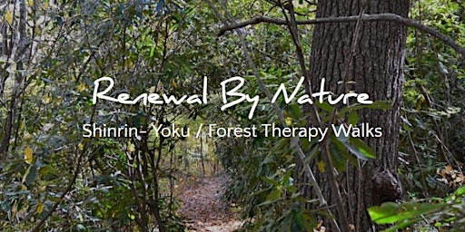 Forest Bathing with Renewal by Nature