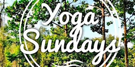 Yoga Sundays by Vrddhi Yoga (limited free entry for early birds) primary image