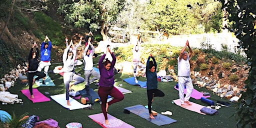 Yoga, Breathwork & Meditation outdoor classes