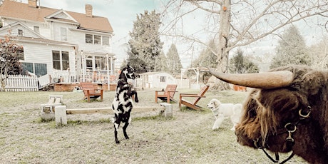 Imagen principal de Farm Trivia with Goats