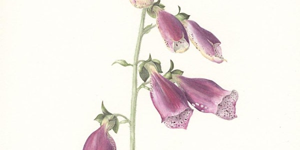 SBA Talk and Demonstration Day supporting 'Botanical Art Worldwide' event