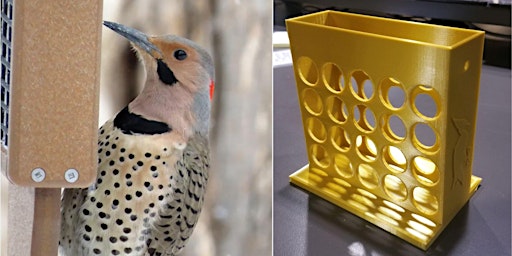 3D Print a Woodpecker Feeder