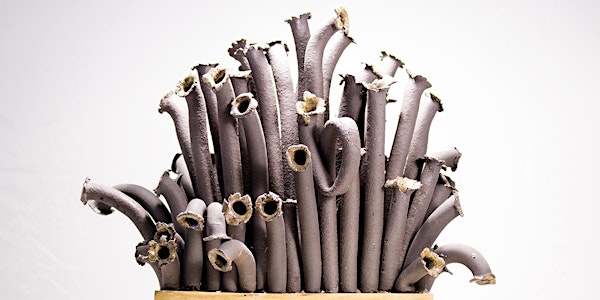 IMPRONTE VEGETALI arte ceramica contemporanea