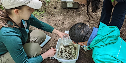 Primaire afbeelding van Watershed Family Field Trip Issaquah