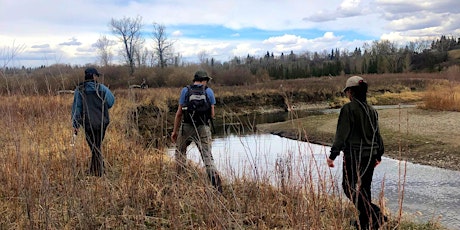 2024 Fish Creek Provincial Park - Rainbow Redd Survey on Fish Creek