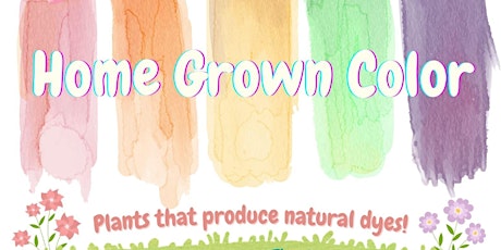 Home Grown Color: Plants that Produce Natural Dyes