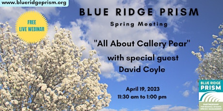 Spring Meeting:  All About Callery Pear