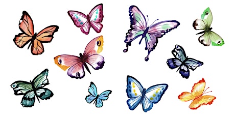 Watercolour Butterflies  (Online class)