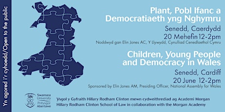 Children Young People and Democracy in Wales  primary image