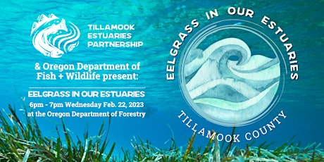 ODFW & TEP: Eelgrass in Our Estuaries primary image