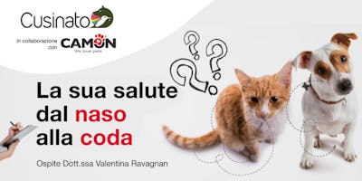 La salute dei nostri amici: dal naso alla coda La salute dei nostri amici: dal naso alla coda