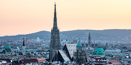 Der Stephansdom - von den Katakomben bis ins Dach