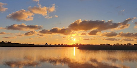 Imagen principal de NWT Hickling Broad -  Dawn chorus boat trail