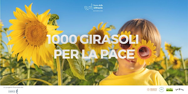 1000 Girasoli per la Pace