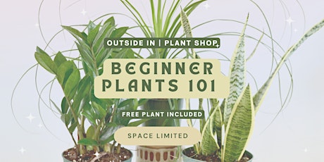 Beginner Houseplant Workshop | Sip & Learn