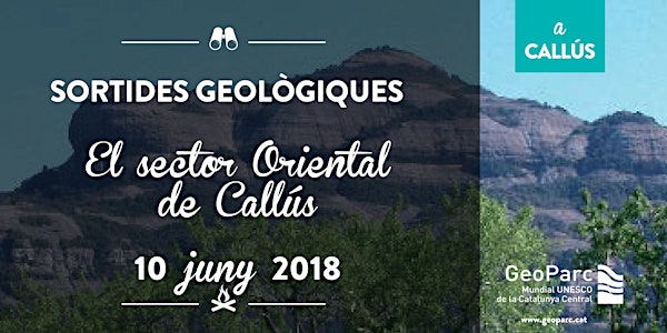 Sortida geològica pel sector Oriental de Callús