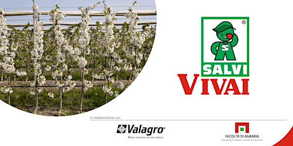 OPEN DAY CERASETO - OPEN DAY CHERRY TREES