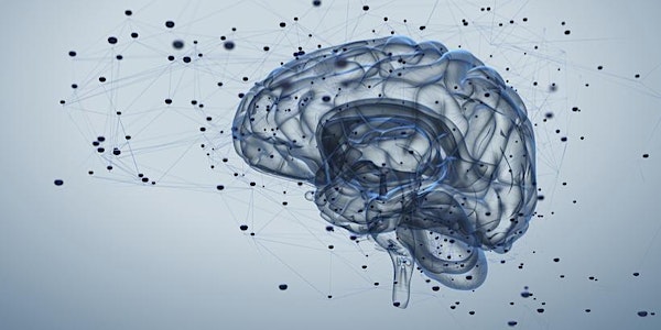 Philosophy, Information & the Brain