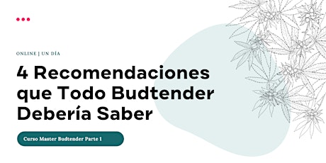 4 Recomendaciones que Todo Budtender Debería Saber (MBT) | Online