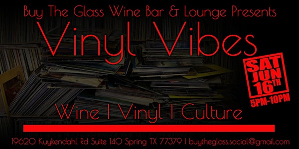 Vinyl & Vibes | LIVE Music & Vinyl Records