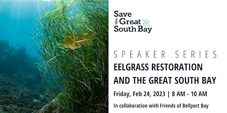 Hauptbild für Speaker Series: Eel Grass Restoration and the Great South Bay