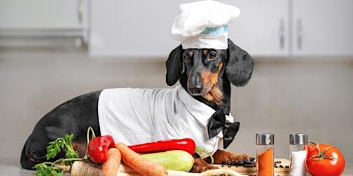 Let's Create Canine and Feline Cuisine! (For Teens!)  primärbild