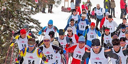 2024 Skogsloppet Fundraiser Race primary image