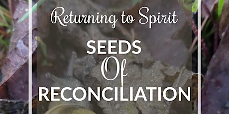 Seeds of Reconciliation  primary image