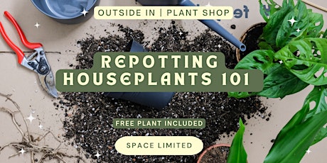 Repotting Houseplants 101 | Including Free Plant