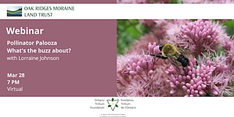 Webinar: Pollinator Palooza - What's the Buzz About?