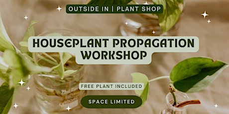 Houseplant Propagation 101 | Mocktails & Plant Included