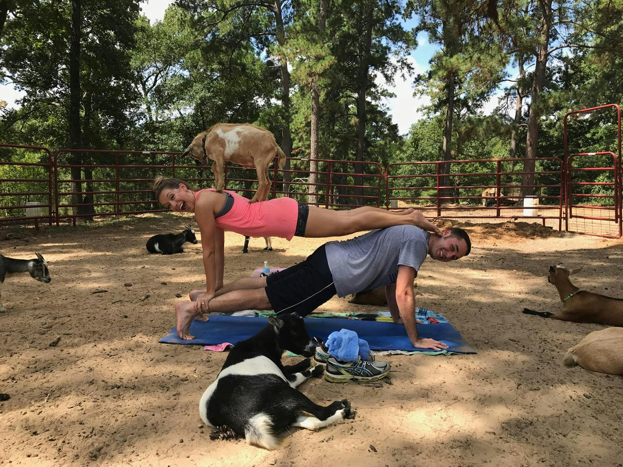 Goat Yoga Houston NettBar