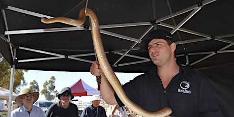 Wild In Bayside - Up Close With Wildlife primary image