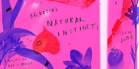 Bedrock's Natural Instincts primary image
