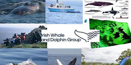 IWDG Residential Whale Watching Weekend Course May 2023