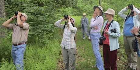 Late Spring Birding with Wendy Ward