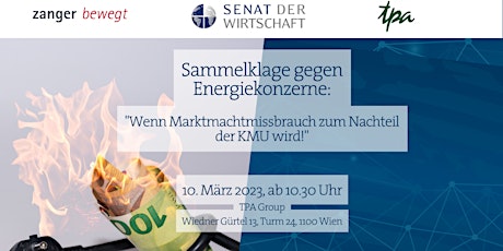 SENATs-Business Lounge: Gemeinsam gegen Energiekartelle primary image