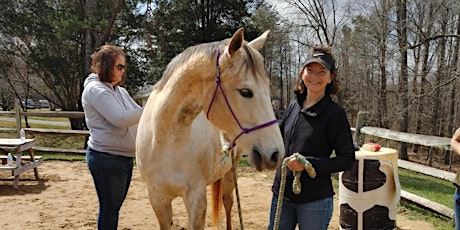 Intro to Horsemanship Clinic