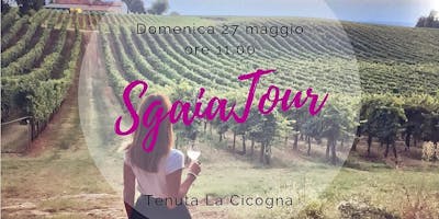 SgaiaTour in Cicogna, tra i vigneti di Cavazza Wine SgaiaTour in Cicogna, tra i vigneti di Cavazza Wine