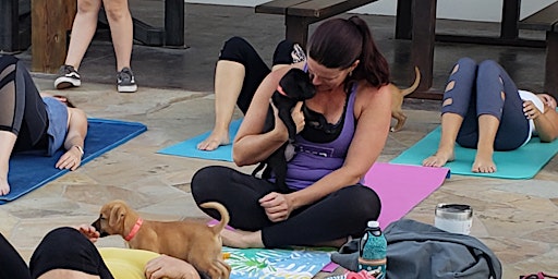 Imagem principal do evento Puppy Poses at Crunch Clifton!