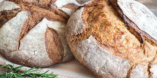 Masterclass: Intro to Sourdough Bread Making primary image